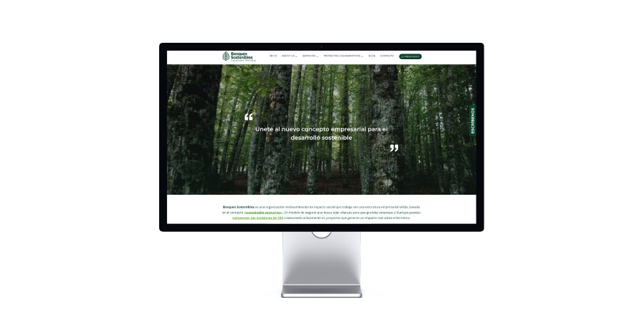 Nueva web de bosques sostenibles en 2024