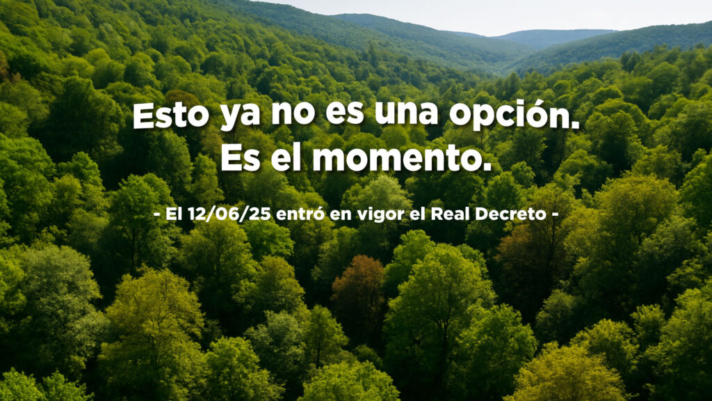 Imagen de fondo de bosques autóctonos que titula: Esto ya no es una opción. Es el momento.