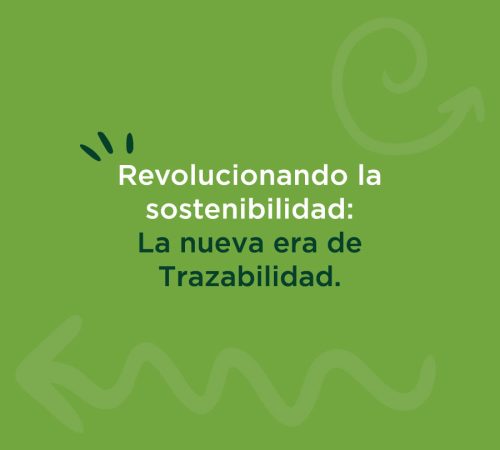 Revolucionando la sostenibiidad - Bosques Sostenibles