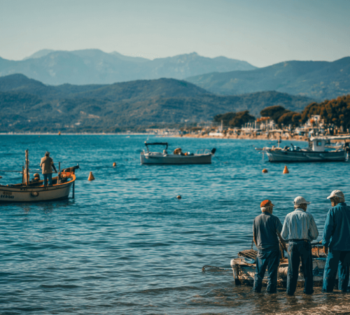 Hace más de diez años, pescadores de Roses decidieron dejar de pescar merluzas, mejorando el ecosistema y uniendo a pescadores, científicos y ONG.