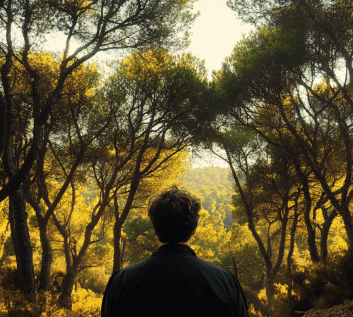 Homenaje a Erich Bauer, pionero en Historia Forestal, por su importante contribución al conocimiento y conservación de los bosques de España.