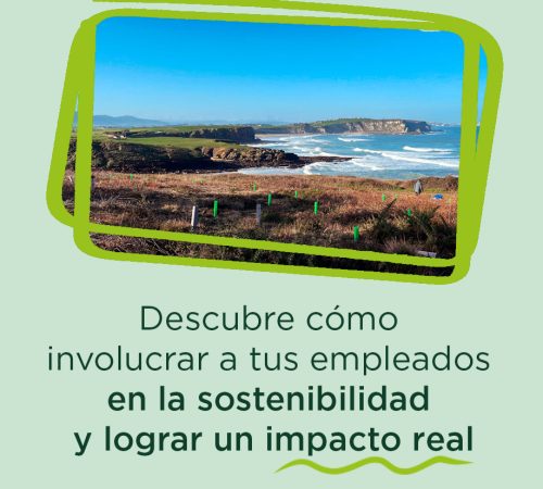 impacto_real_sostenibilidad_corporativa